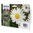 Γνήσια μελάνια  Epson T181640  XL Multi-Pack Black,Cyan,Magenta,Yellow